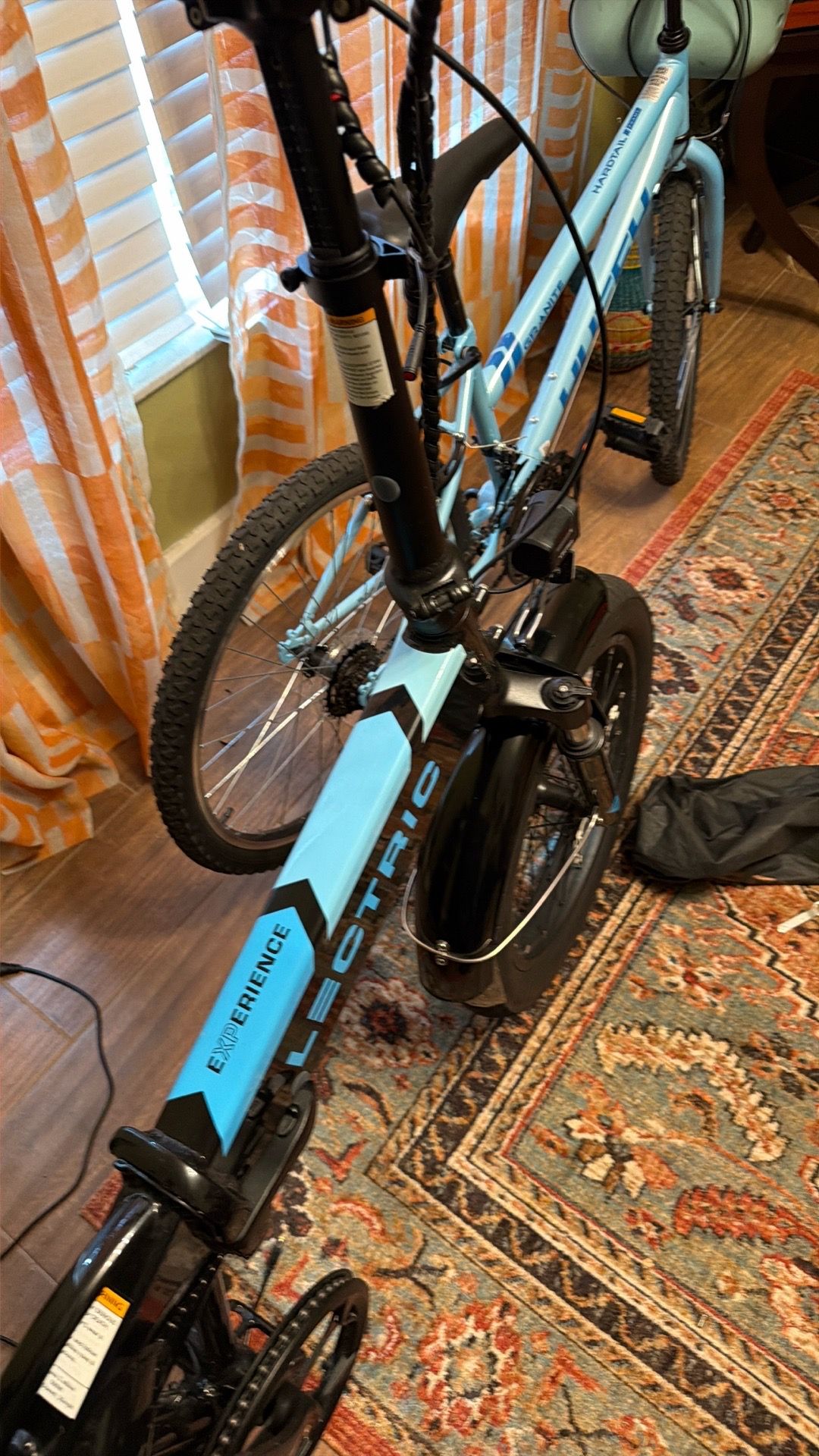 Electric bike