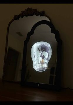 Censor skeleton mirror