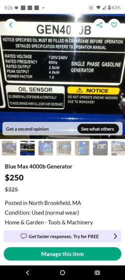 Generator blue max 4000b