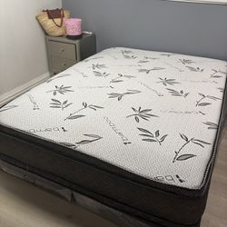 Queen size bed in box spring