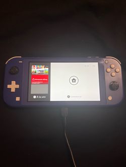 Nintendo switch lite