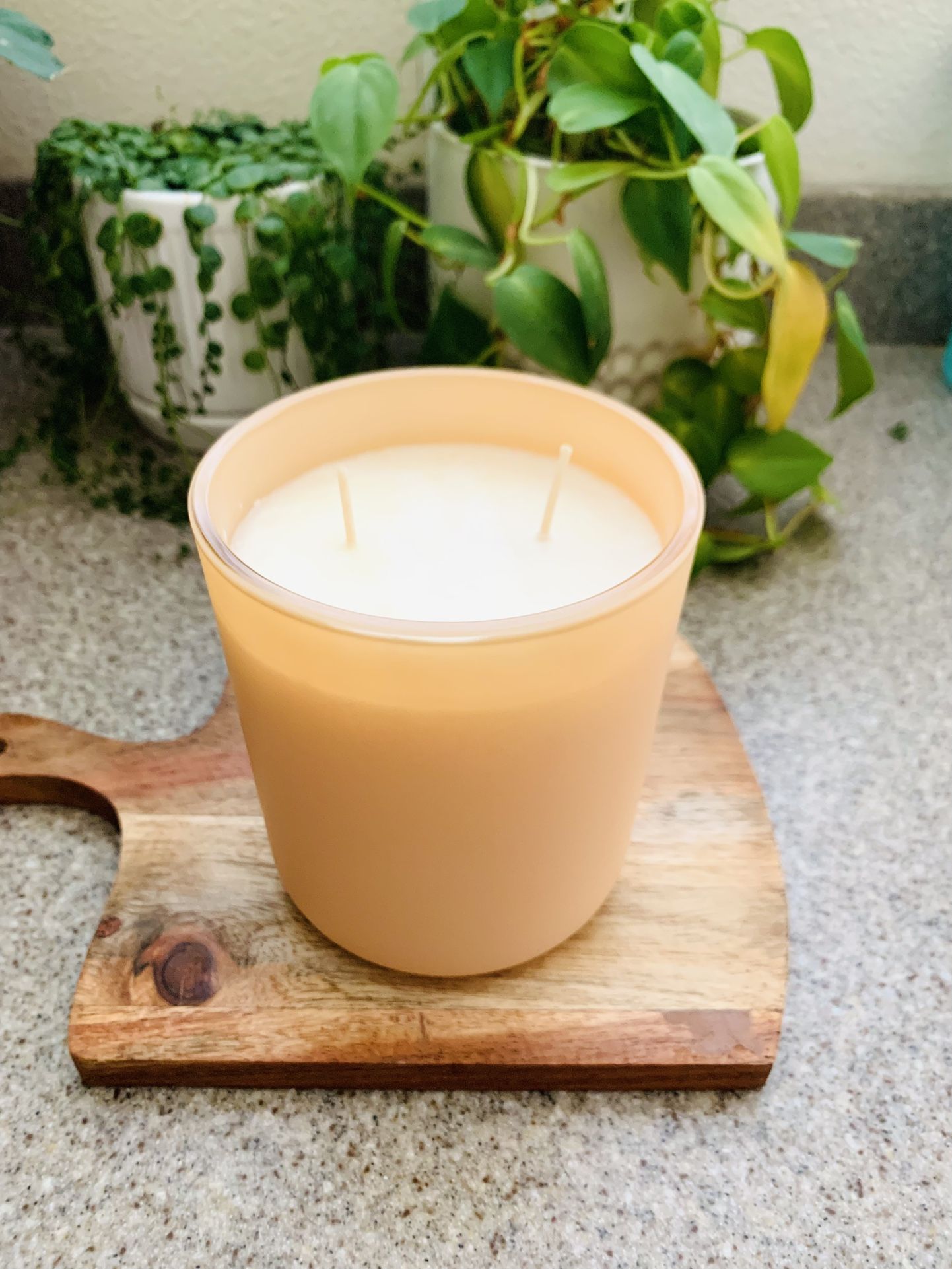 Half Dozen (Unlabeled) Double Wicks Candles. 