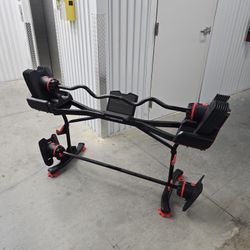 Weight Bowflex Curl & Straight Bar 