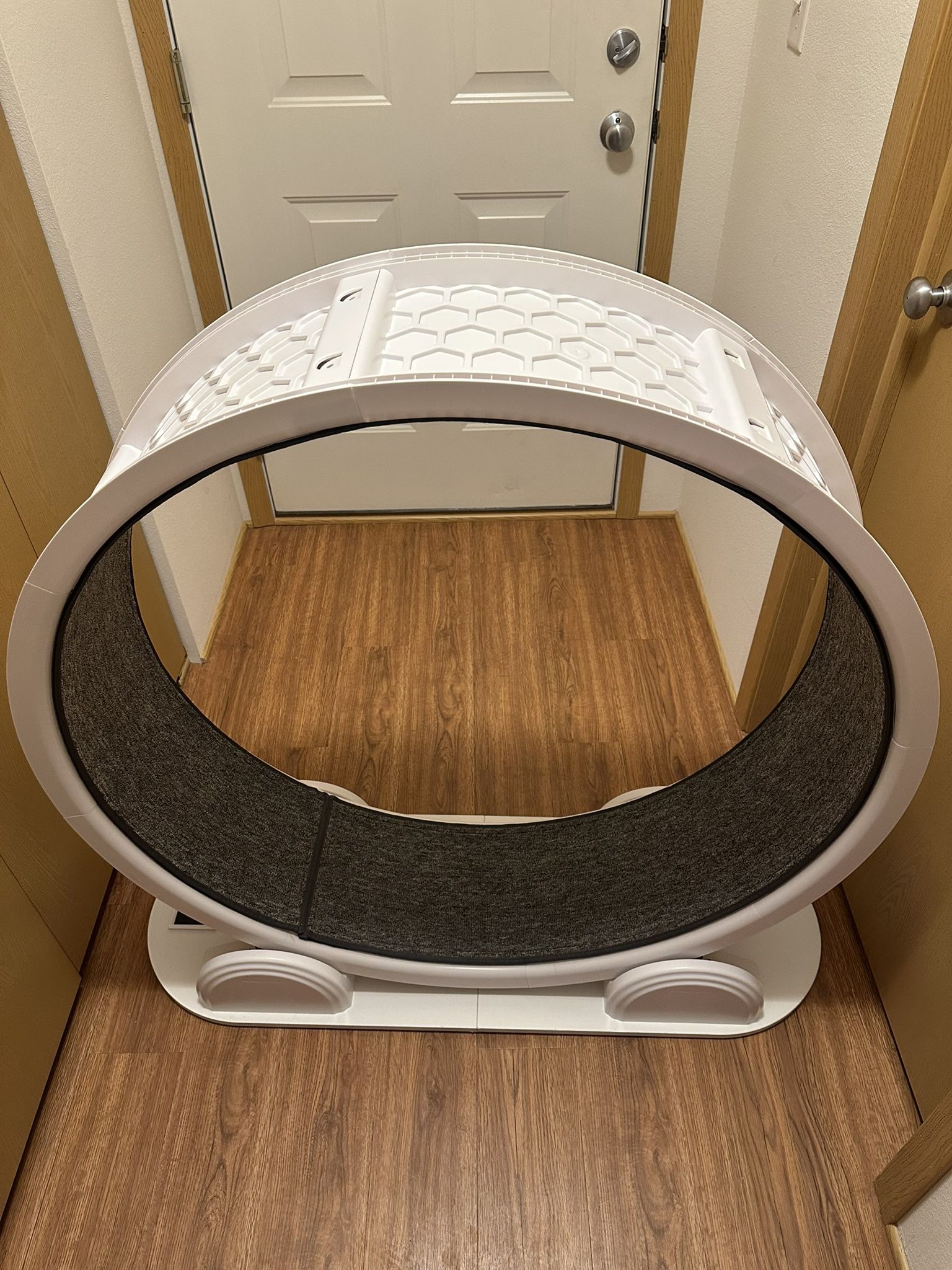 Cat Exercise Wheel