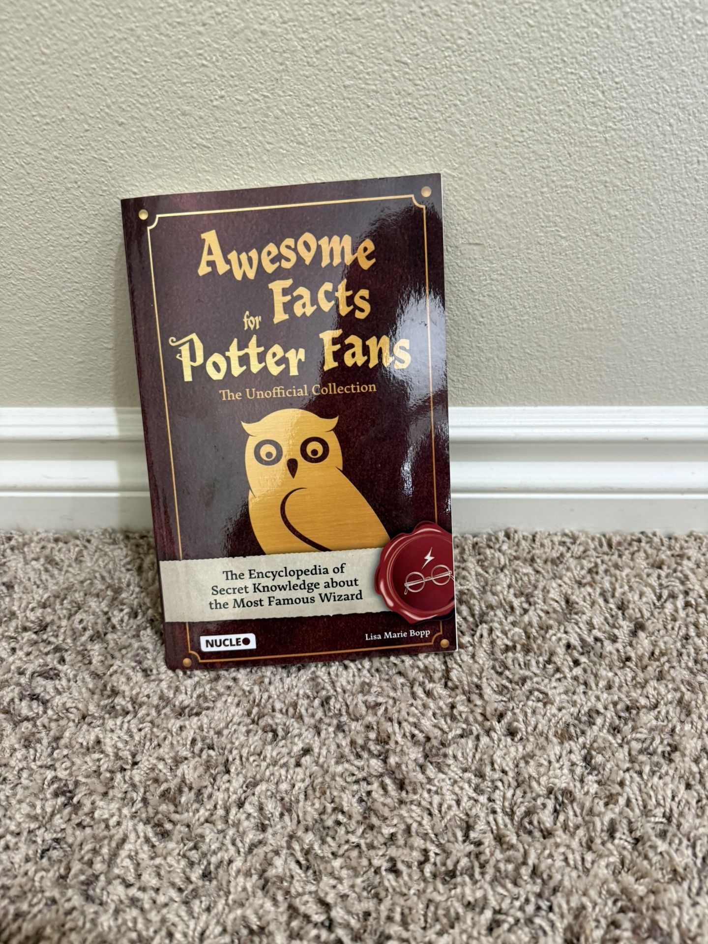 Awesome Facts For Potter Fans Book
