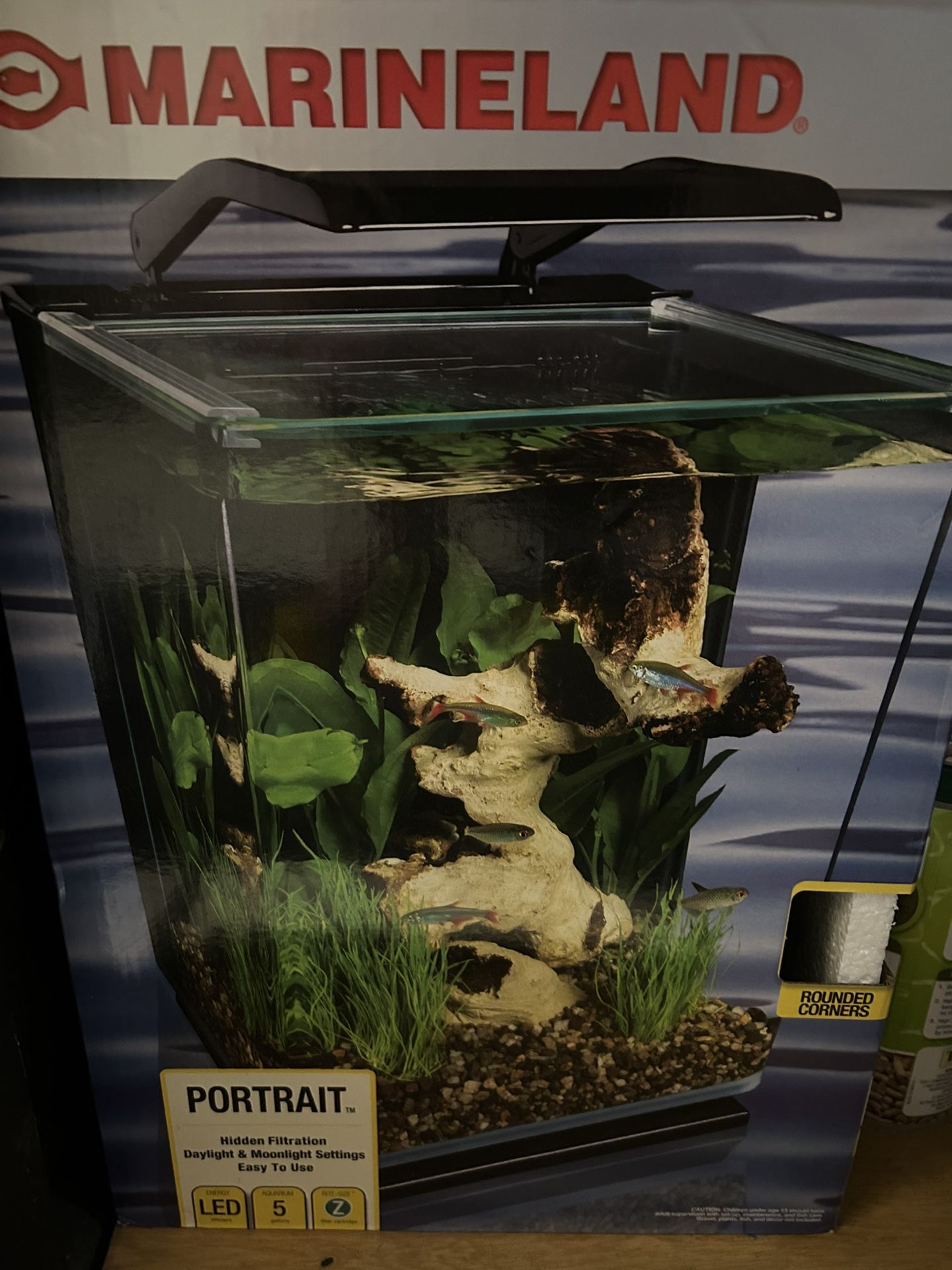 Fish tank