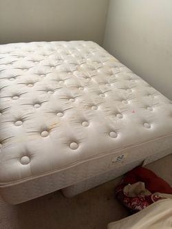 Queen mattress with box spring