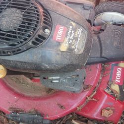 Lawn Mowing 