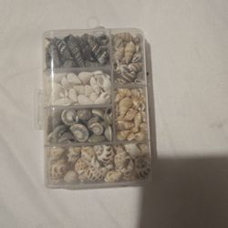 Box Of Seashells