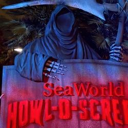 Sesame Place Boletos 35 Dólares Amigos Aprovechen 