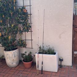 Spinning Fishing Rod 2 Peace