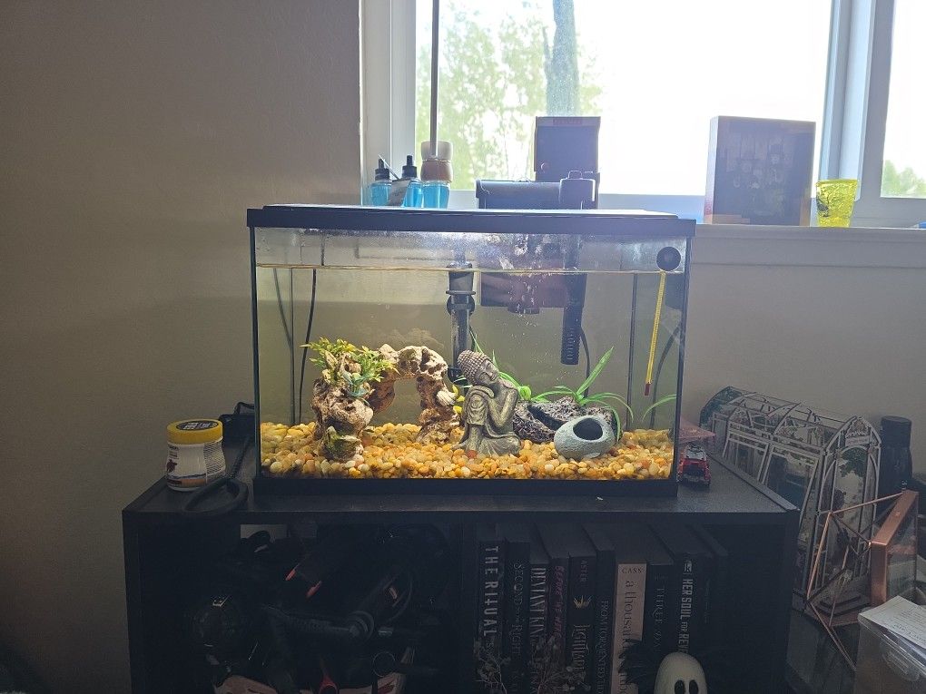 Fish Tank