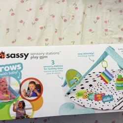 Sassy Play Gym