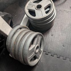 25 Lb Plates 