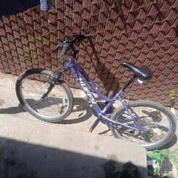 Huffy Girls Mountain Bike Brand New Aired Up Brakes Work Ready To Go 