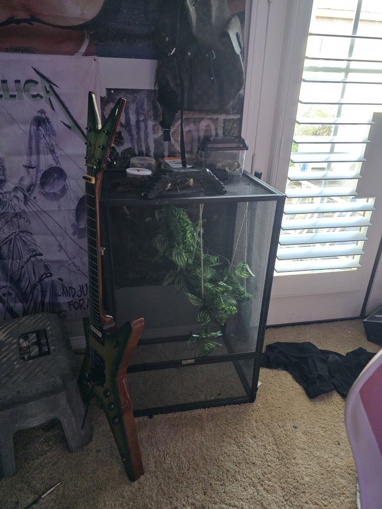 Lizard Cage Or Bird Or ?