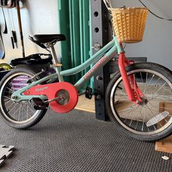 Retrospect kid bike