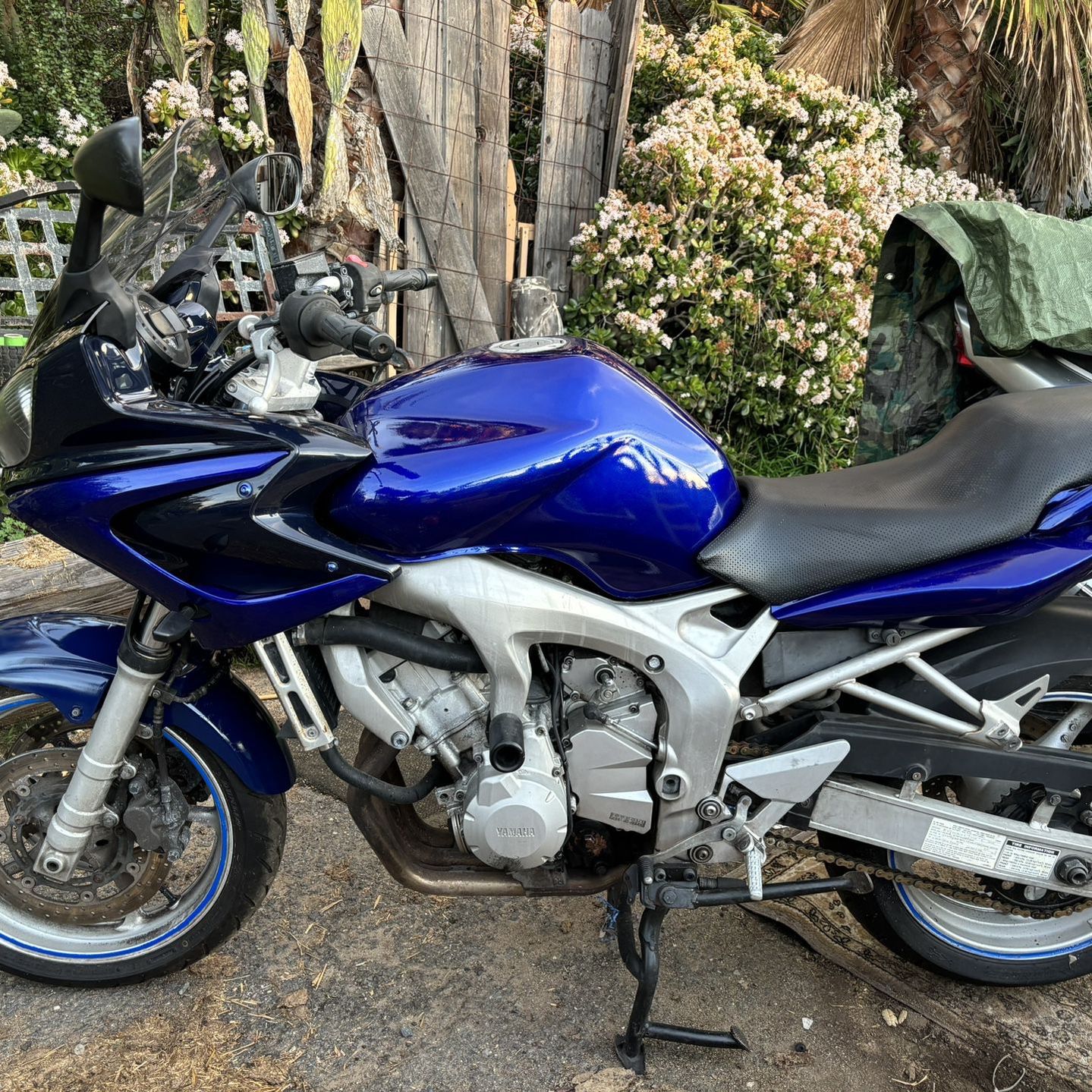 2004 Yamaha fz6 Fz6, 598 cc,  fuel injected.