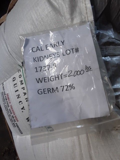 BULK BEAN SEEDS (NAVY, PINTO, KIDNEY, BLACK)