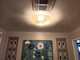 Ceiling Light Fixture