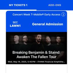 1 Lawn Ticket To Breaking Benjamin and staind 