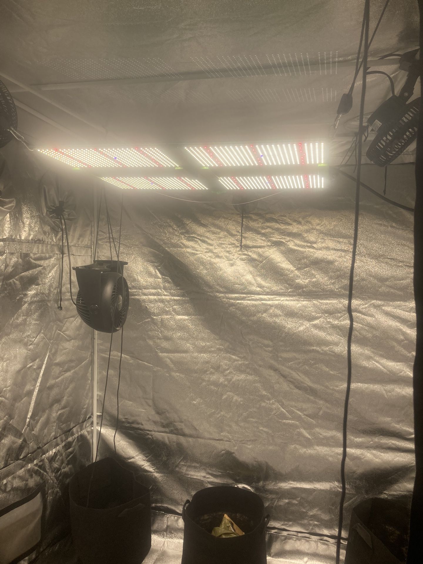 Indoor Grow Setup