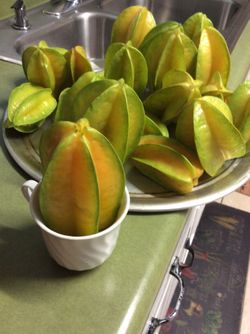 Carambola _ star fruit _