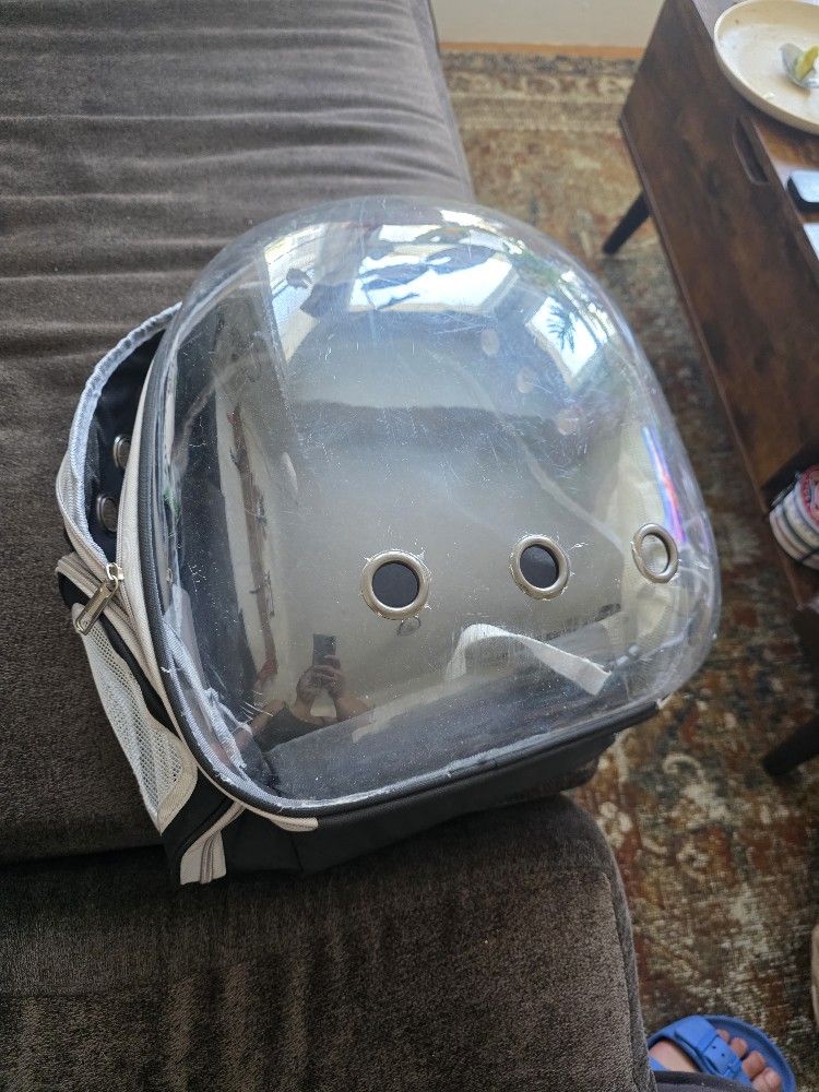 Bubble Cat Backpack 