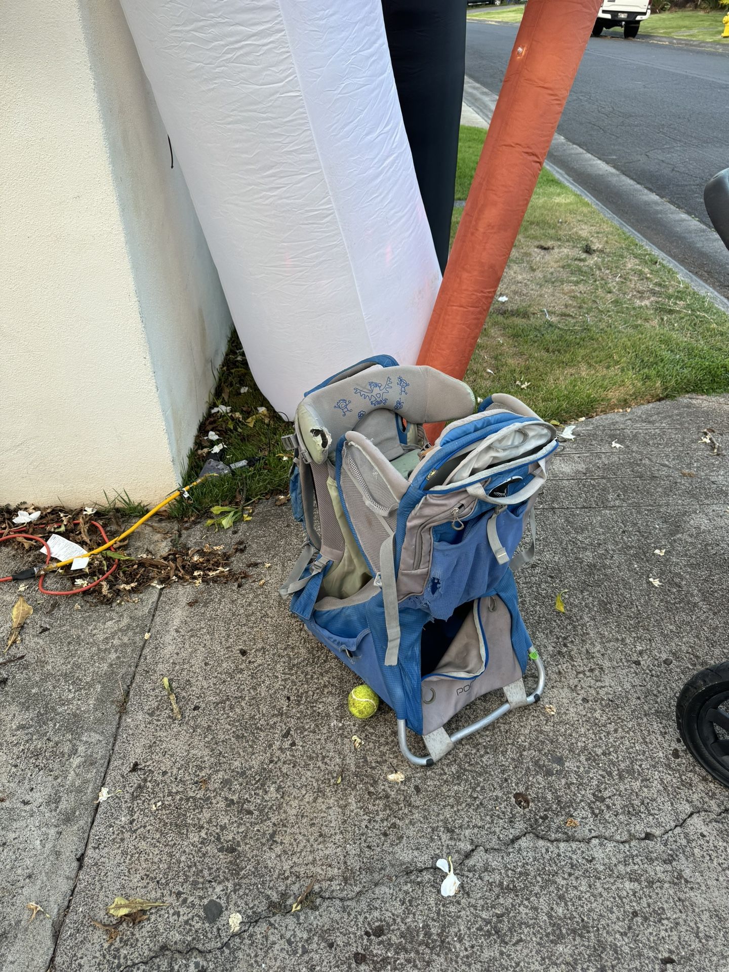 Arcteryx Child Carrier Backpack