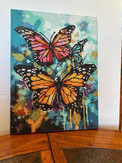 Butterfly’s