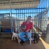 Roberto.M