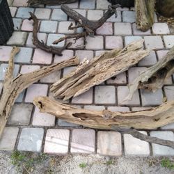 Driftwood