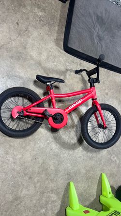 Kids REI bike