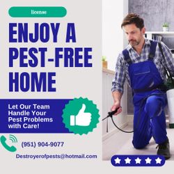 Pest Control 