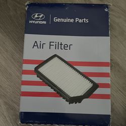 Hyundai air filter 28113 C1100