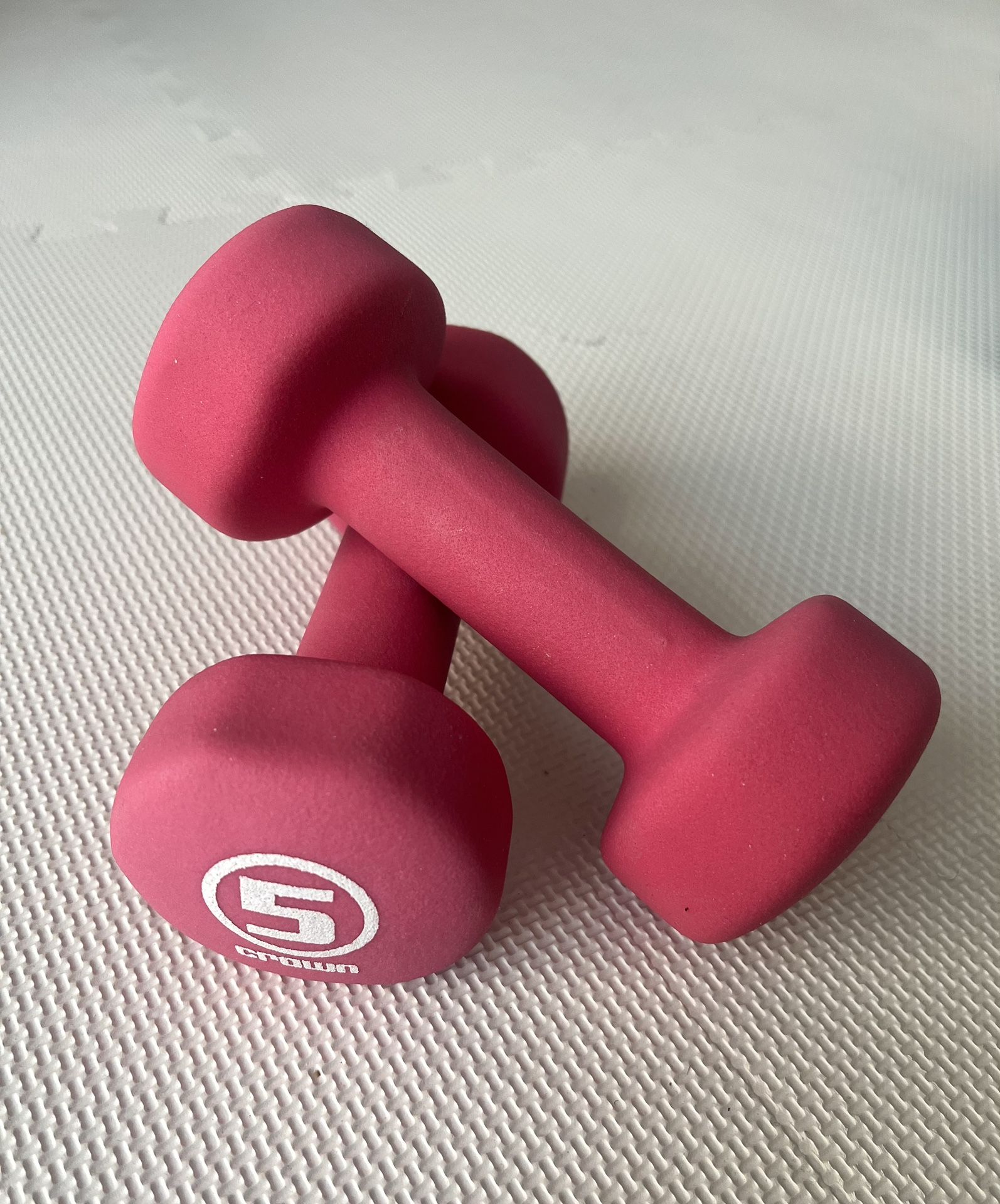 5 Pound Neoprene Coated Workout Dumbbells, Set of 2 – Anti Roll, Non Slip with Smooth Grip