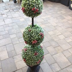 Topiary Tree