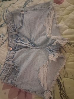 Wild Fable Shorts