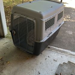 Great Deal!