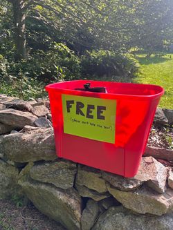 Assorted freebies!