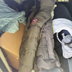 Canada goose coat