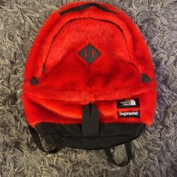 Supreme North Face Fur Backpack