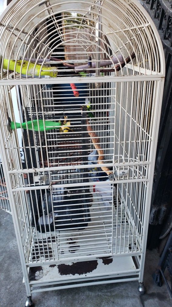 Bird Cage Large Parrot Or Bird