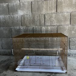 Bird Cage