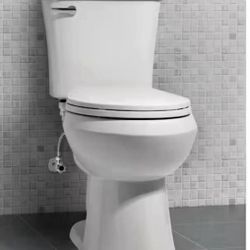 Glacier bay bathroom toilet