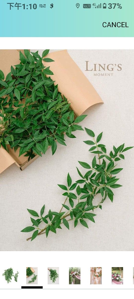 Artificial Willow Vines Garland Italian Ruscus Vine, 5 Pack Real Touch Silk Hanging Greenery Washable Fake Vines for Home Decor Wedding Party Outdoor
