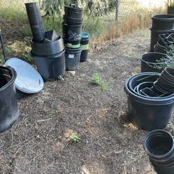 Plant Pots (All Sizes)