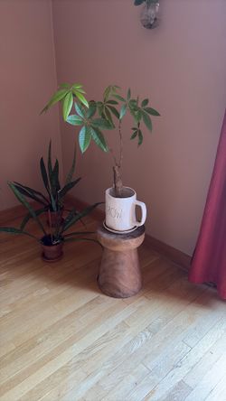 Plant Stool