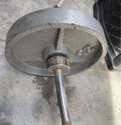 Olympic curl bar + standard dumbbells