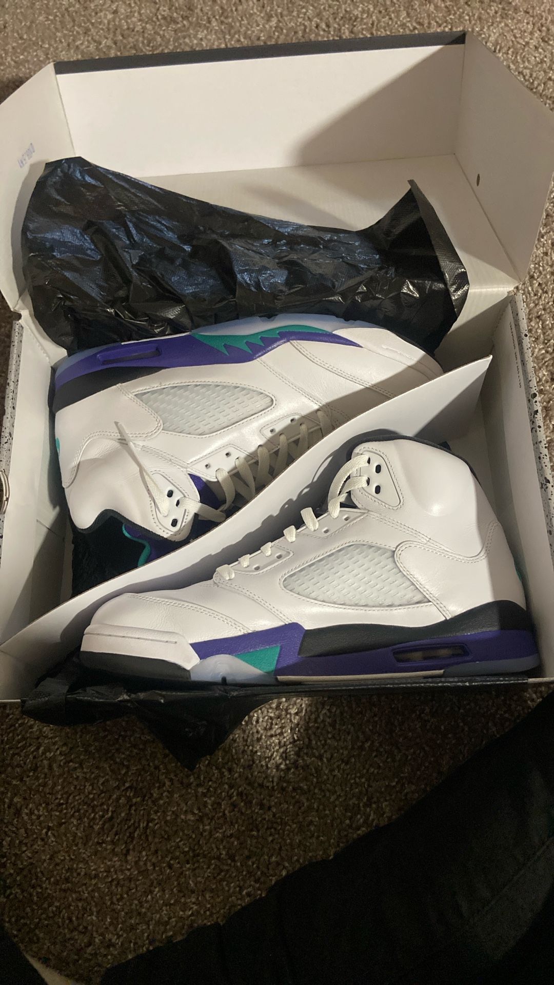Men’s Jordan Grape 5s DEADSTOCK